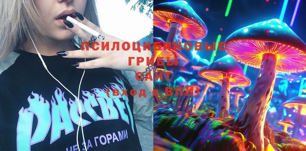 PSILOCYBIN Богородск